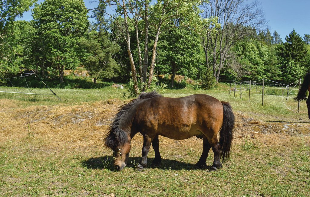 Ferienhaus - Herräng/Hallstavik , Schweden - S70138 23