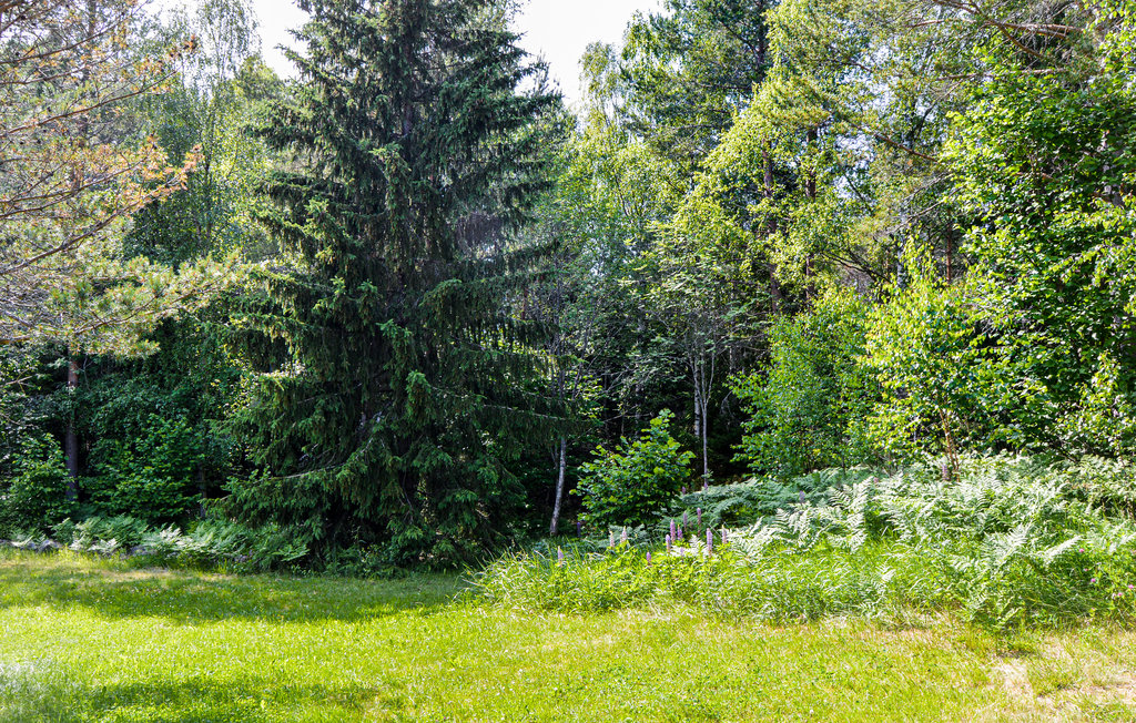 Bild 15