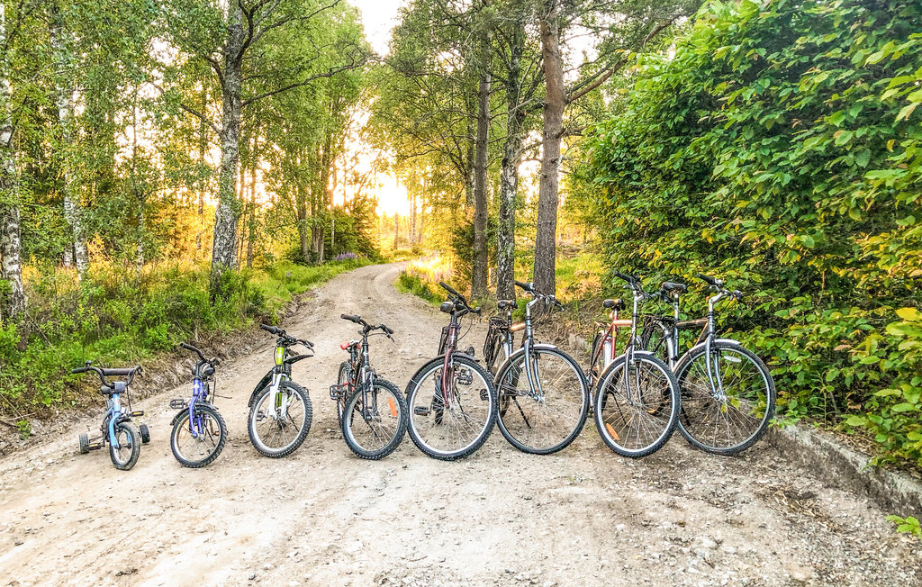 Feriehus - Årjäng Skomsnäs , Sverige - S73266 16