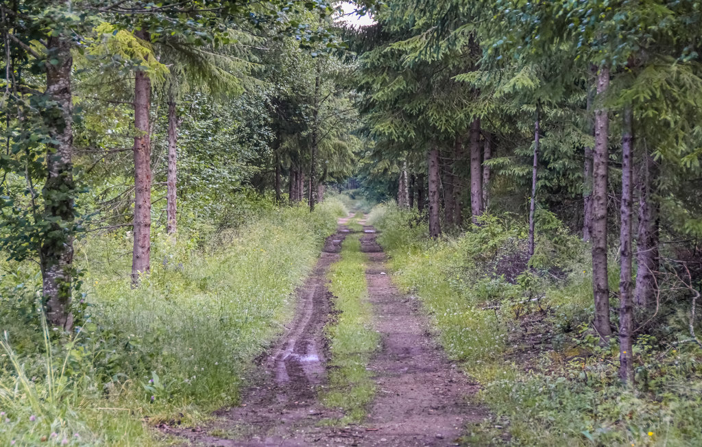 Feriehus - Högelian Glaskogen , Sverige - S73202 10