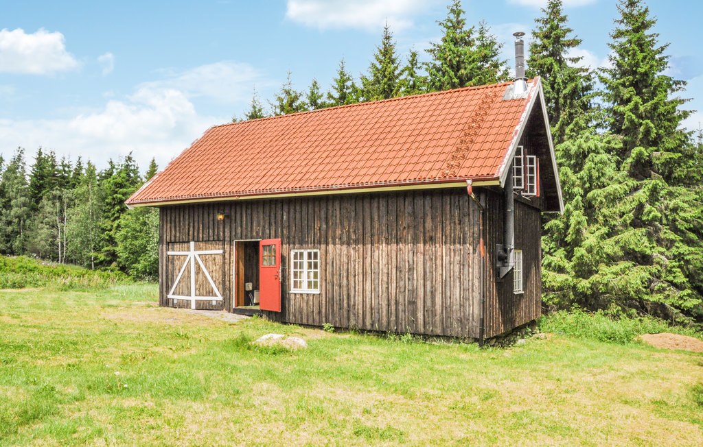 Feriehus - Årjäng Skomsnäs , Sverige - S73266 8