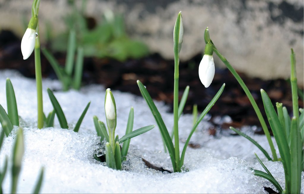 Feriehus - Töcksfors/Årjäng , Sverige - S73110 38
