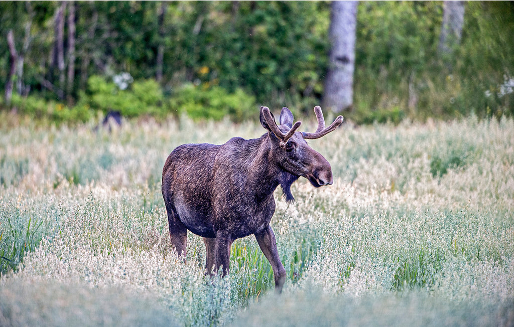 Lejlighed - Värmlands Säby , Sverige - S73230 12