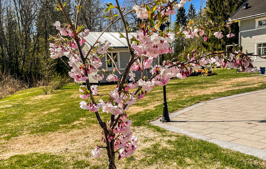 Feriehus - Karlstad/Grava Rud , Sverige - S73255 12