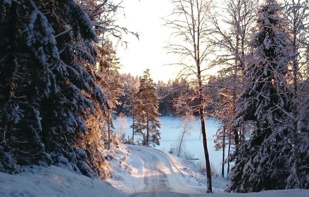 Feriehus - Töcksfors/Årjäng , Sverige - S73110 33