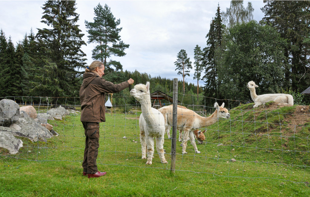 Feriehus - Sunne/Sätterstad , Sverige - S73169 13