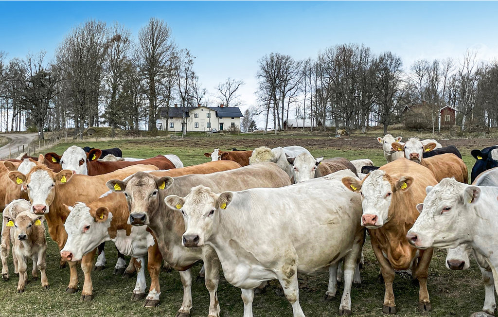 Lejlighed - Värmlands Säby , Sverige - S73230 10