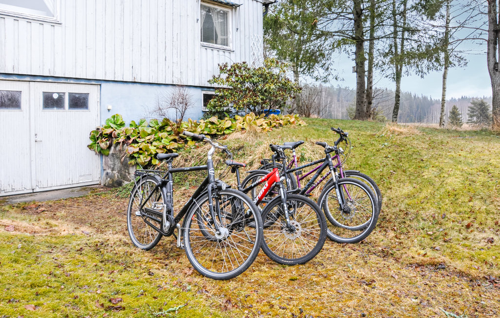 Feriehus - Säffle , Sverige - S73256 7