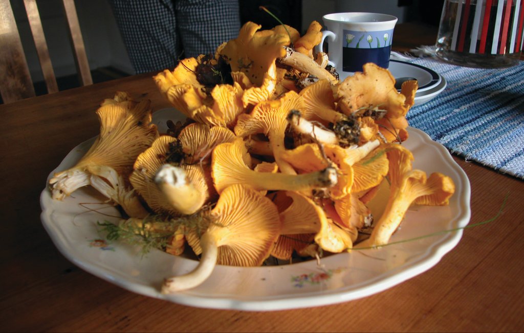 Feriehus - Sysslebäck/Branäs , Sverige - S73012 8