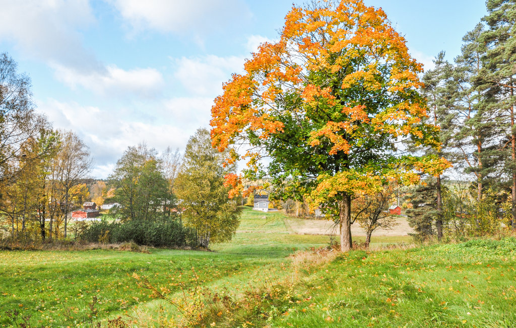 Feriehus - Årjäng Glaskogen , Sverige - S73274 10