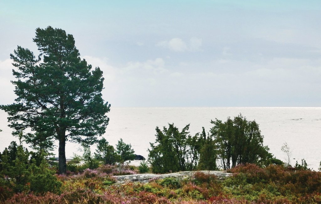 Feriehus - Hammarö , Sverige - S73098 2