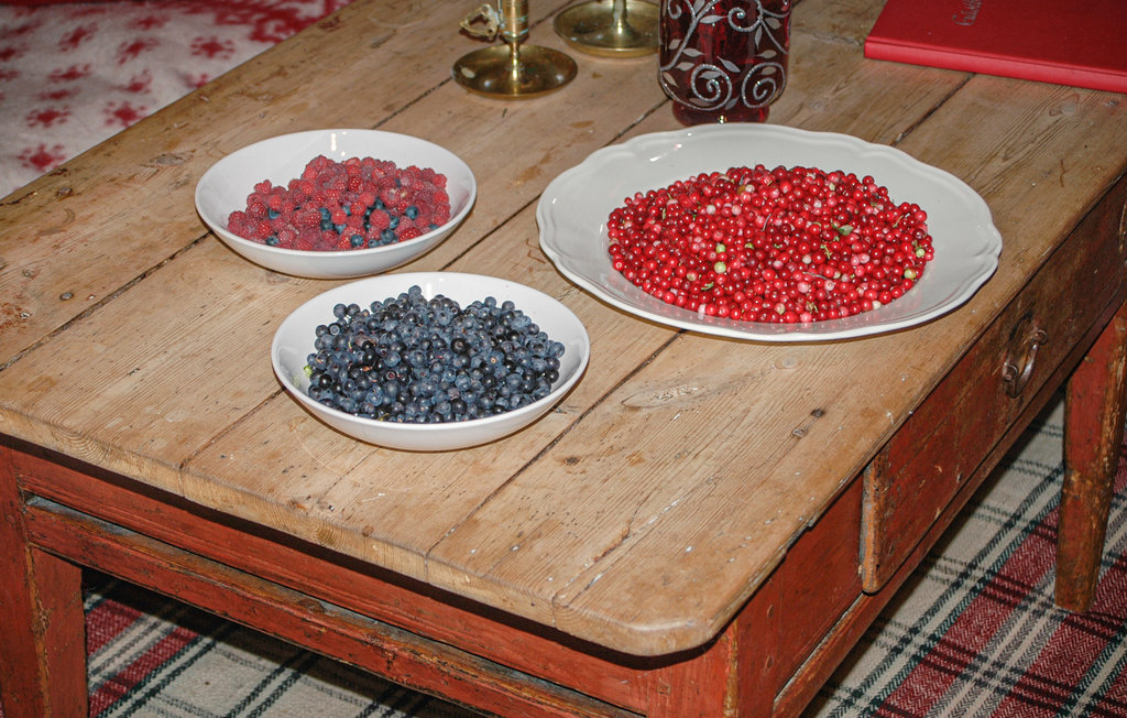 Feriehus - Ekshärad , Sverige - S73189 5