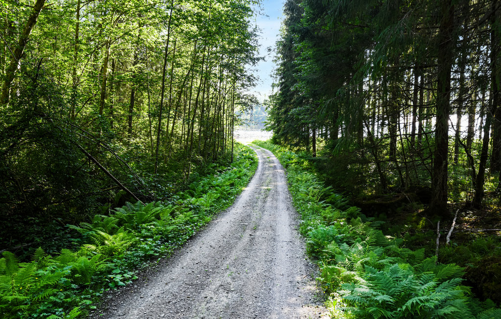 Feriehus - Åmotfors , Sverige - S73222 11