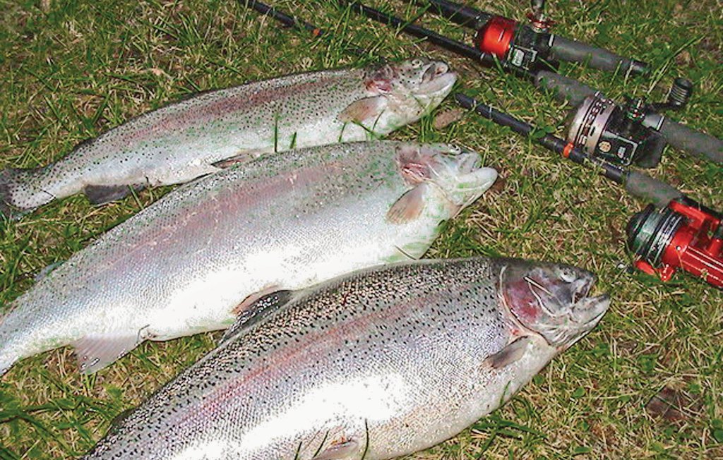 Feriehuse - Östra Viker , Sverige - S73126 29