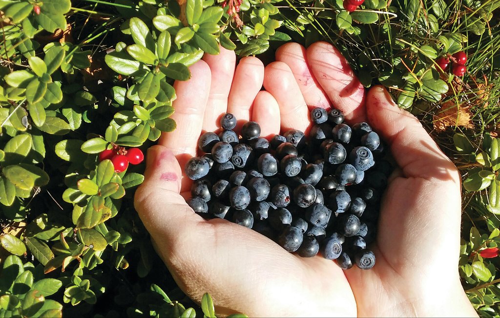 Feriehus - Töcksfors/Årjäng , Sverige - S73110 31