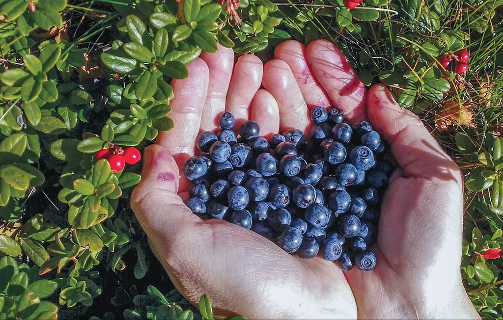 Feriehuse - Östra Viker , Sverige - S73126 31