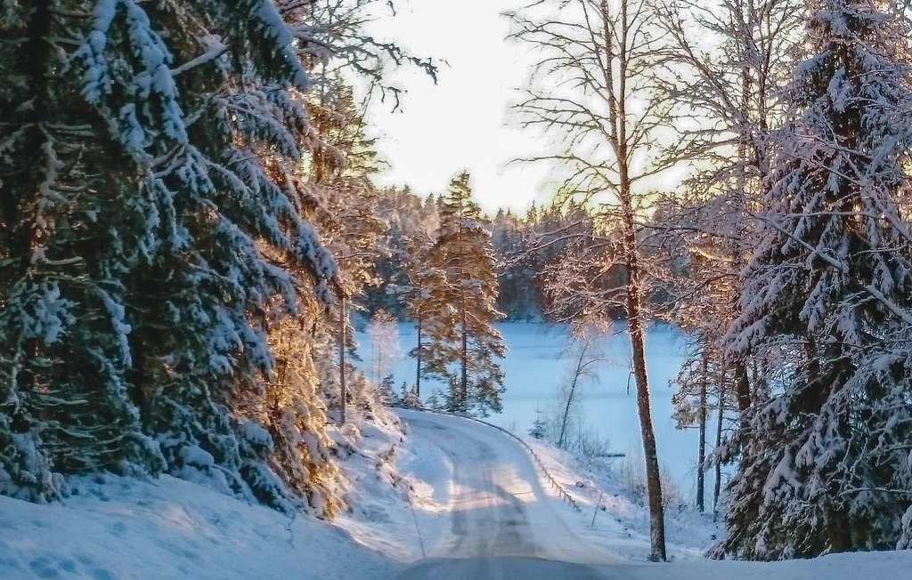 Feriehuse - Östra Viker , Sverige - S73126 33