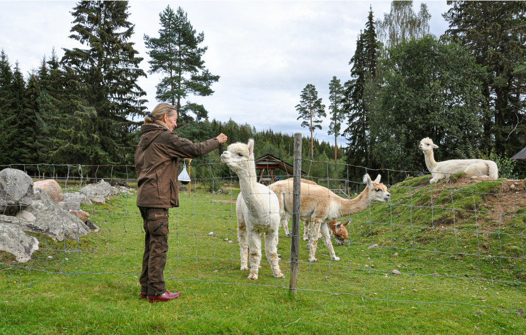Feriehus - Sunne/Sätterstad , Sverige - S73168 16