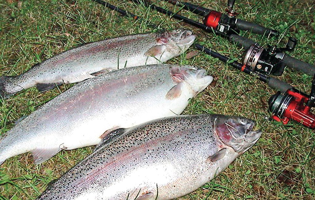 Feriehus - Töcksfors/Årjäng , Sverige - S73110 29