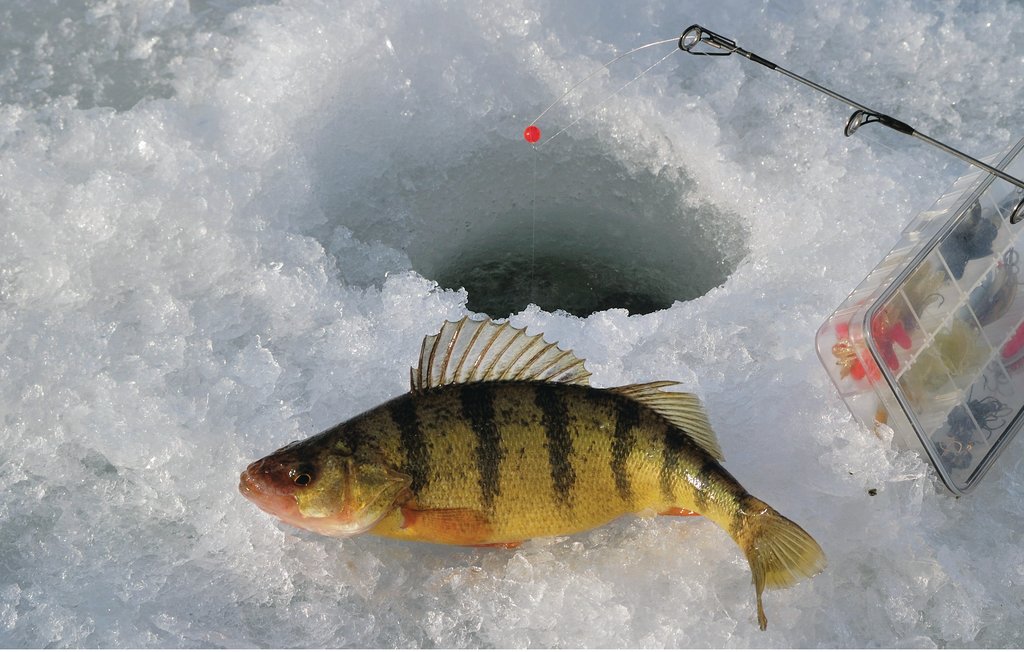 Feriehus - Töcksfors/Årjäng , Sverige - S73110 35