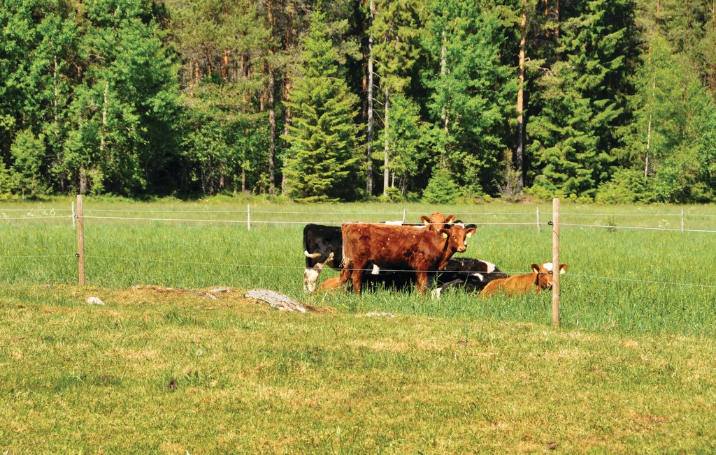 Feriehus - Säffle , Sverige - S73152 28