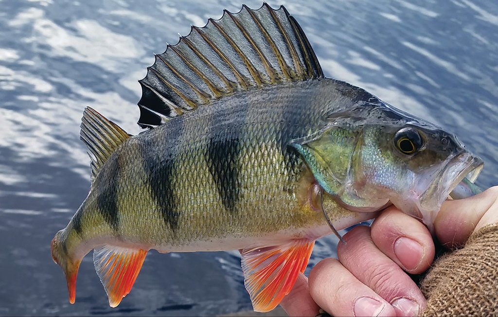 Feriehuse - Östra Viker , Sverige - S73126 28