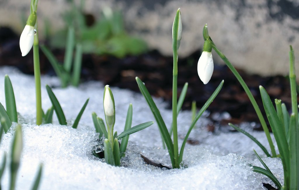 Feriehuse - Östra Viker , Sverige - S73126 38
