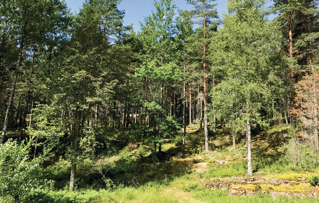 Feriehus - Årjäng , Sverige - S73113 5