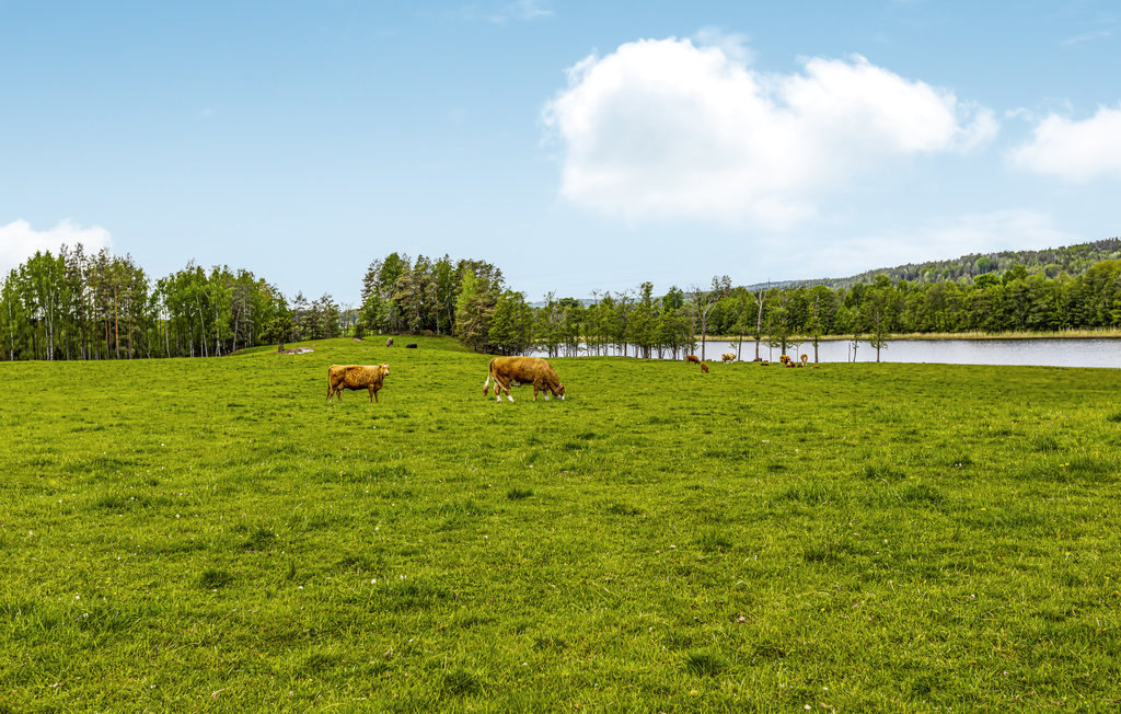 Semesterhus - Långserud/Säffle , Sverige - S73192 21