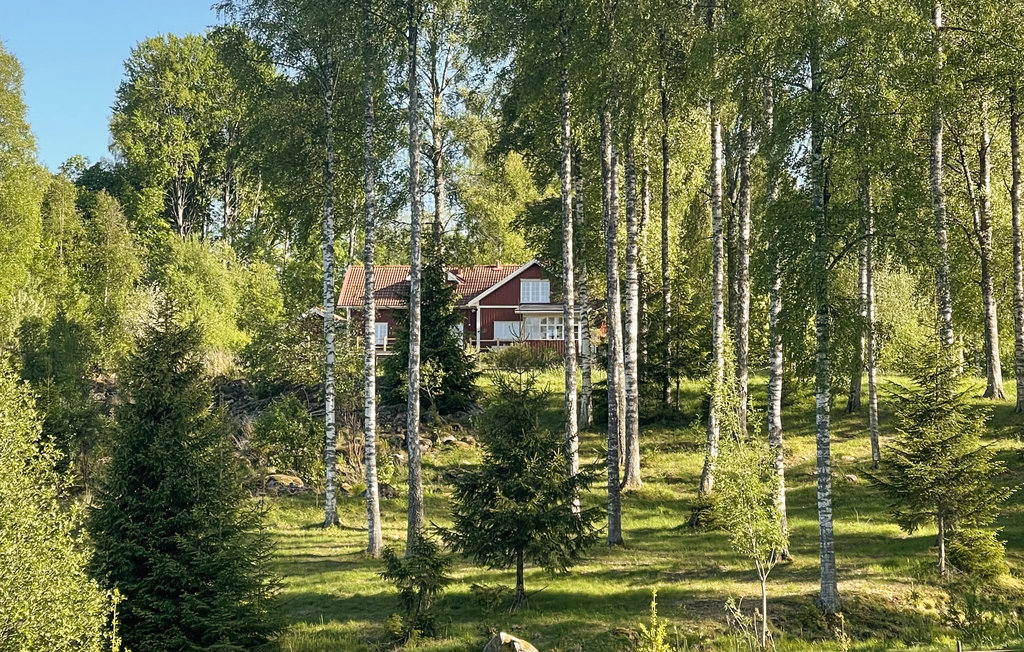 Ferienhaus - Arvika Mangskog , Schweden - S73265 11