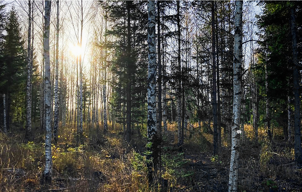 Feriehus - Kristinehamn/Grönalund , Sverige - S73311 20