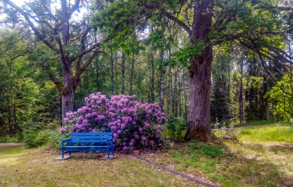 Feriehus - Persberg/Filipstad , Sverige - S73312 8