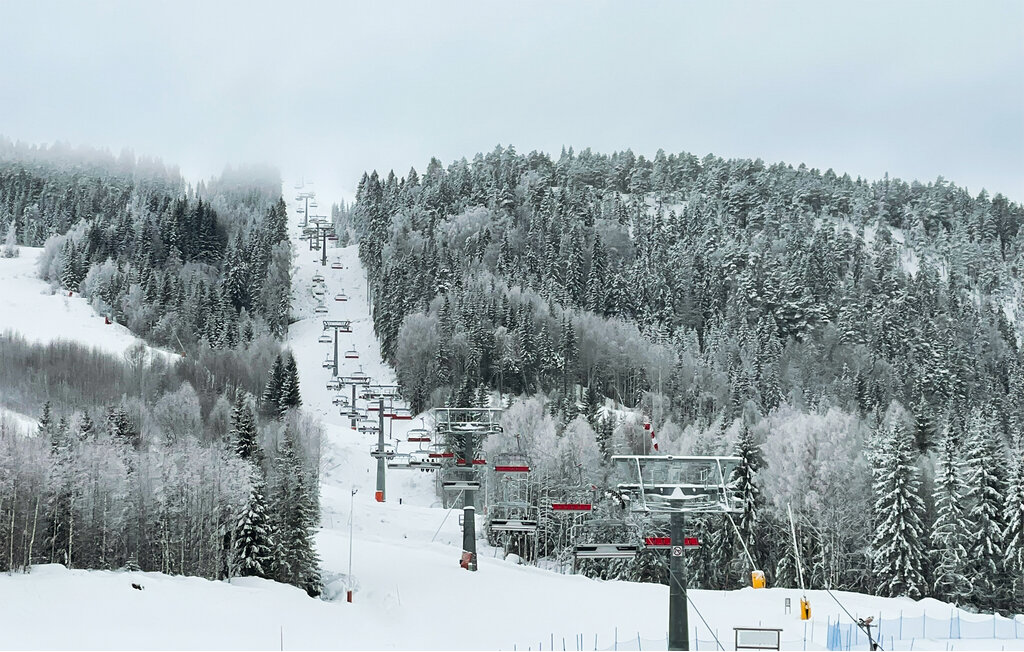 Ferieleilighet - Branäs Mattestorpet , Sverige - S73319 2