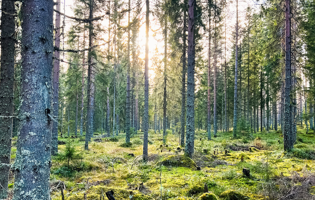 Semesterhus - Nyskoga/Torsby , Sverige - S73384 44