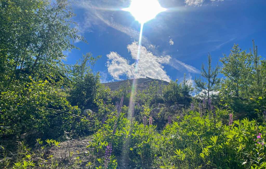 Feriehus - Branäs/Övre Mattestorp , Sverige - S73332 27