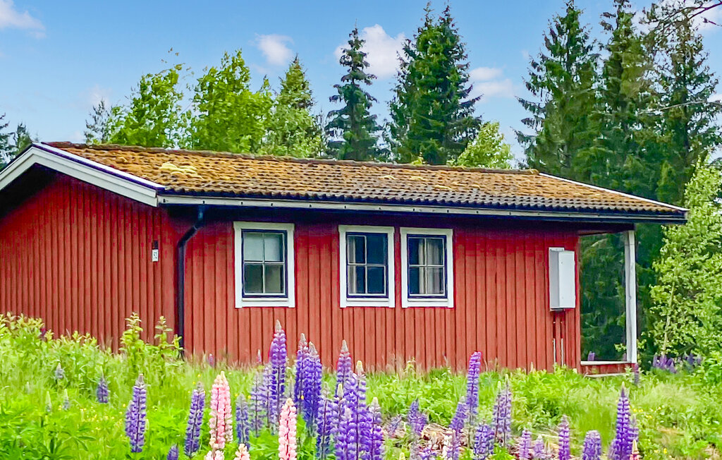 Semesterhus - Långrösta Hagfors , Sverige
