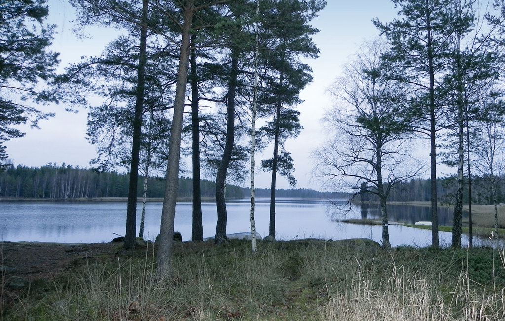 Bild 15 Bild 15