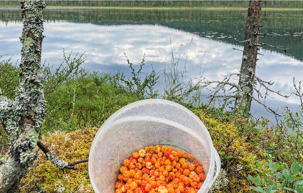 Semesterhus - Idre Sätervägen , Sverige - S84104 8