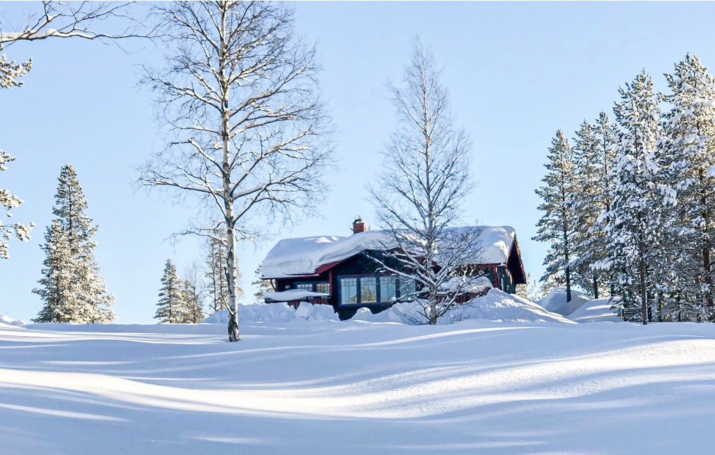 Semesterhus - Fulufjället Särna , Sverige - S84101 10