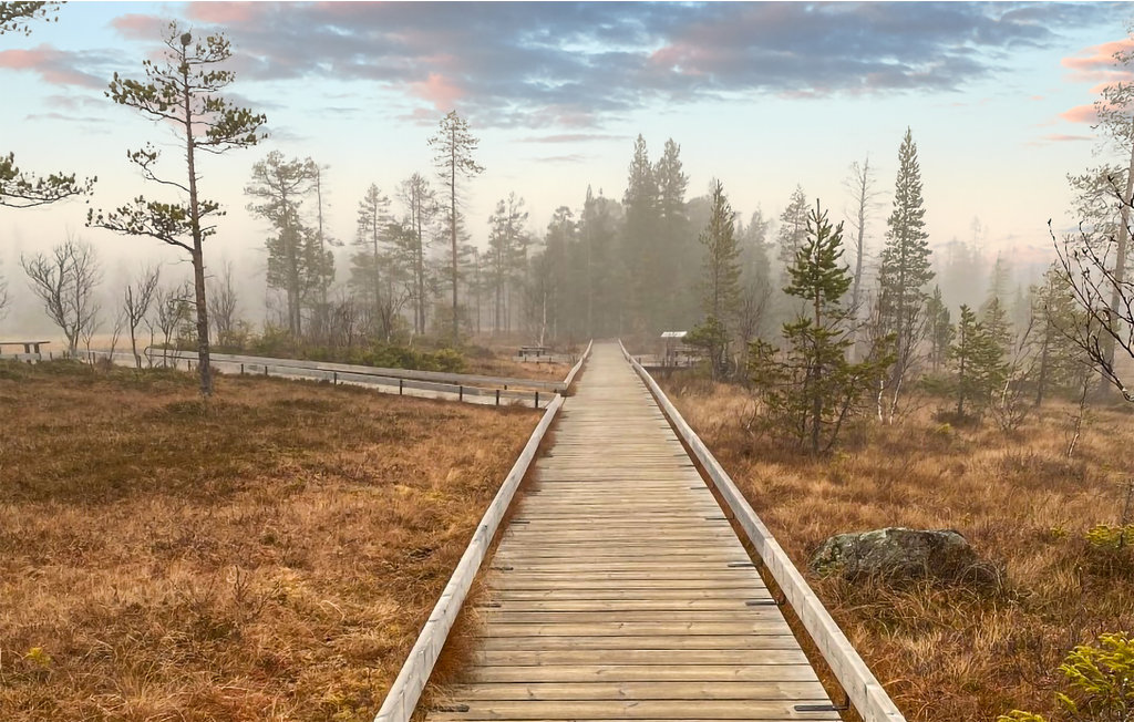 Semesterhus - Gördalen Fulufjället , Sverige - S84153 8