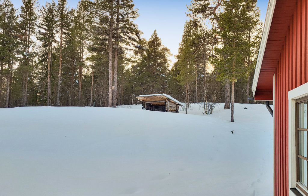 Semesterhus - Idre Drevdagen , Sverige - S84175 9