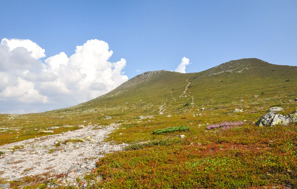 Ferienwohnung - Pine Hill Idre , Schweden - S84186 16