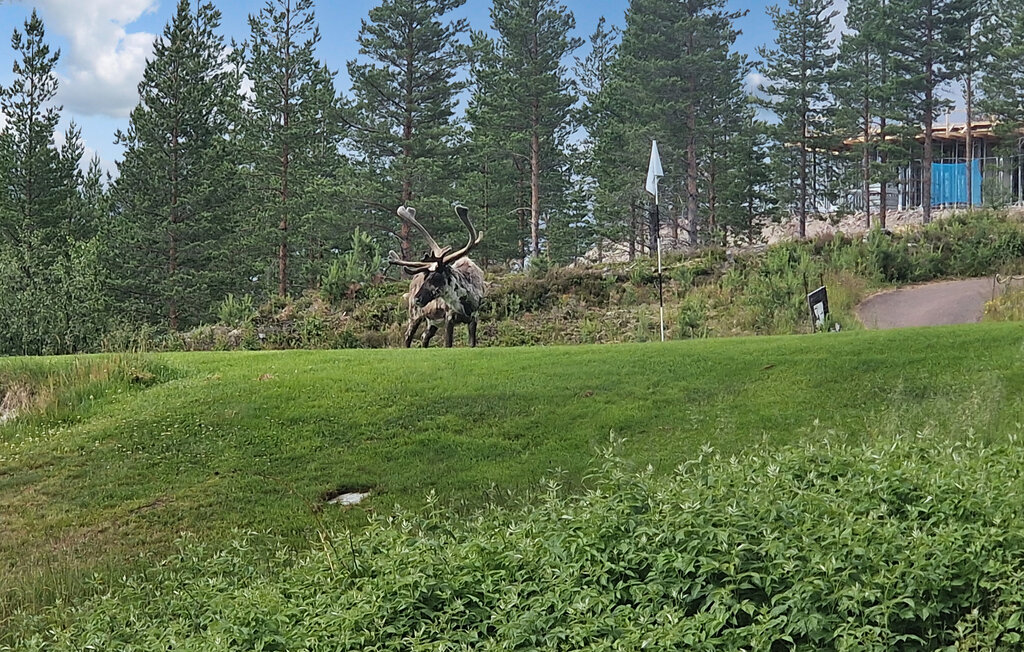 Lejlighed - Idre/Pine Hill , Sverige - S84187 13