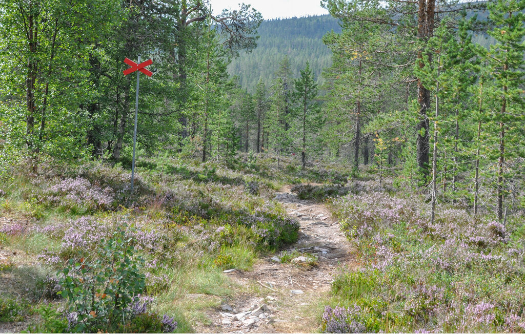 Feriehuse - Sälen/Gusjösätern , Sverige - S84208 7