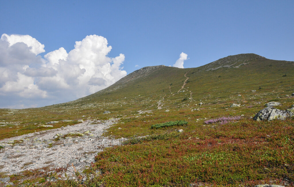 Ferienwohnung - Pine Hill/Idre , Schweden - S84198 15
