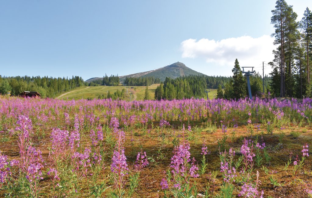 Ferienhaus - Lofsdalen , Schweden - S90045 9