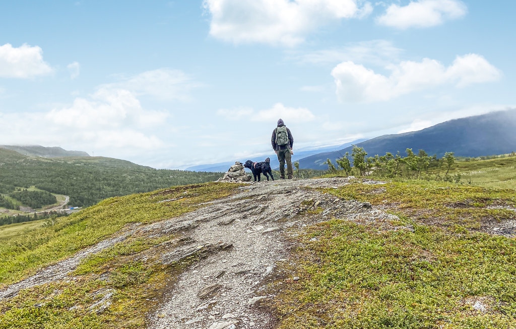 Ferienhaus - Huså , Schweden - S90083 26