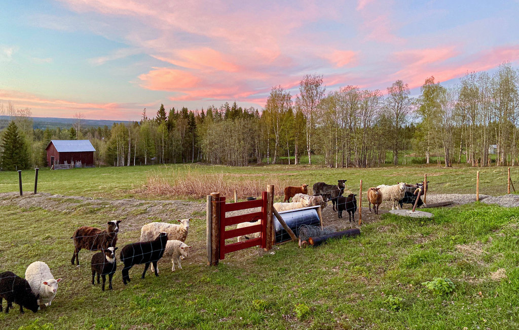 Feriehuse - Strömsund , Sverige - S90089 4