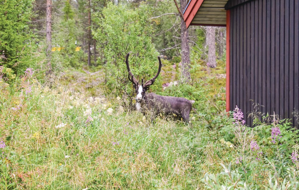 Ferienhaus - Lofsdalen , Schweden - S90045 7