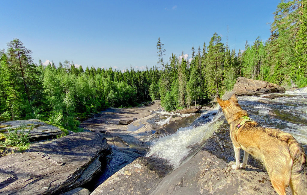 Feriehuse - Strömsund , Sverige - S90089 5